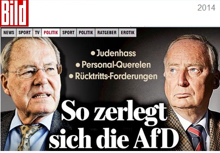 bild_so_zerlegt_sich_die_afd.jpg