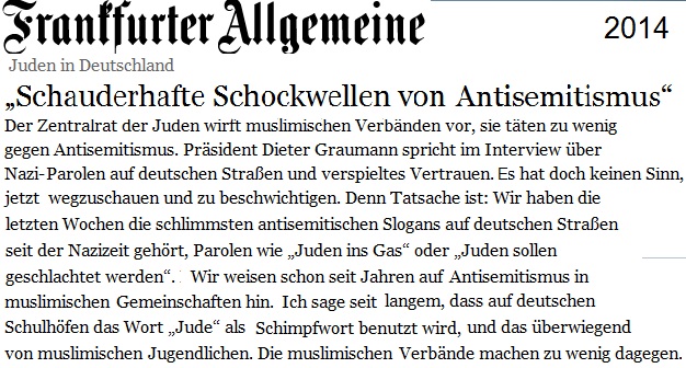 faz_schockwellen_antisemitismus.jpg