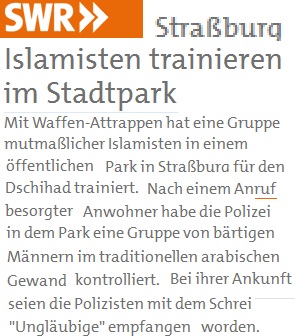 swr_islamisten_trainieren_im_stadtpark.jpg