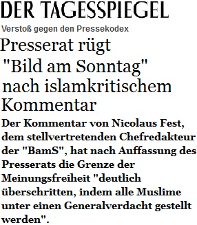 tagesspiegel_presserat_ruegt_bams.jpg