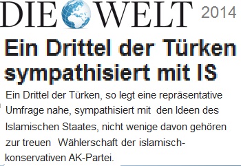 welt_ein_drittel_der_tuerken_sympathisiert_mit_is.jpg