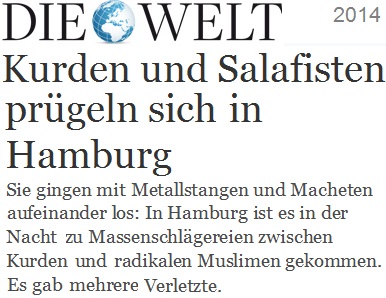 welt_kurden_und_salafisten_pruegeln_sich_in_hamburg.jpg