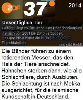 zdf_die_haenchen_schlachthoefe_nach_mecka_ausgerichtet.jpg